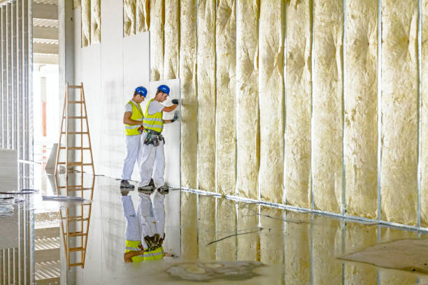 Best Insulation Installation Services in Eden Isle, LA